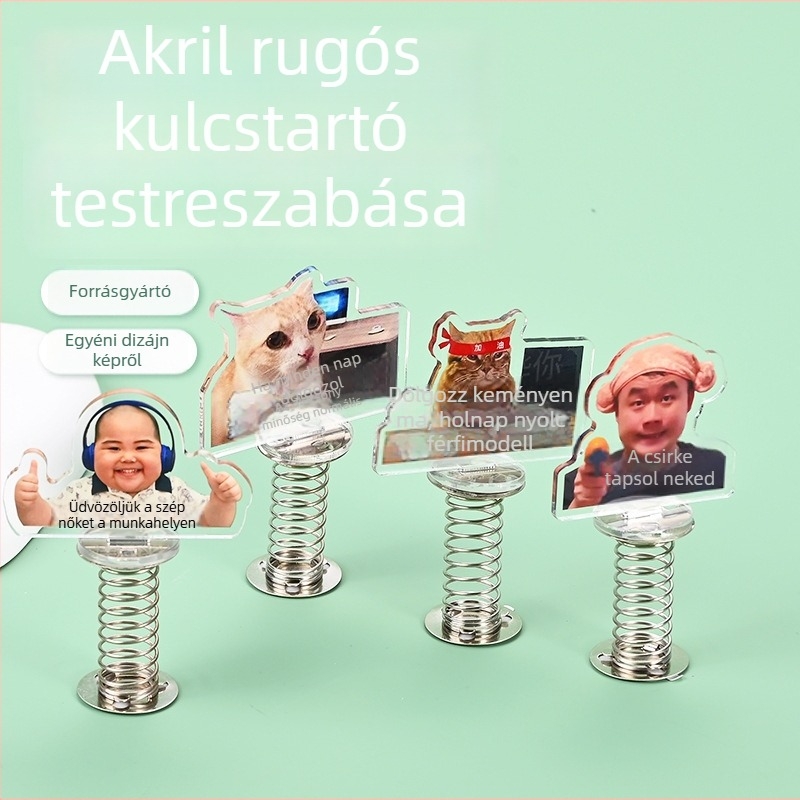 Kreatív akril rugós kulcstartó — testreszabható, szórakoztató rázó játék és háromdimenziós asztali dísz