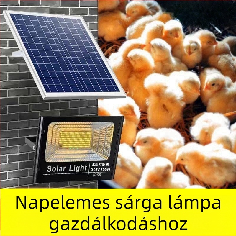 Napelemes LED világítás baromfitelepekre – rendkívül fényes, meleg fény tojásrakó tyúkok számára, energiatakarékos lámpa