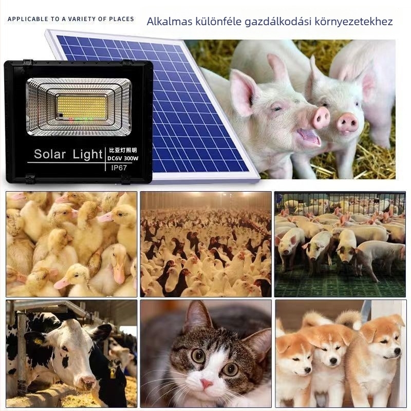 Napelemes LED világítás baromfitelepekre – rendkívül fényes, meleg fény tojásrakó tyúkok számára, energiatakarékos lámpa