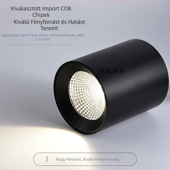 LED felületre szerelt hengeralakú downlight COB-ral, függő rúd, 5000K