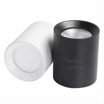 LED felületre szerelt hengeralakú downlight COB-ral, függő rúd, 5000K