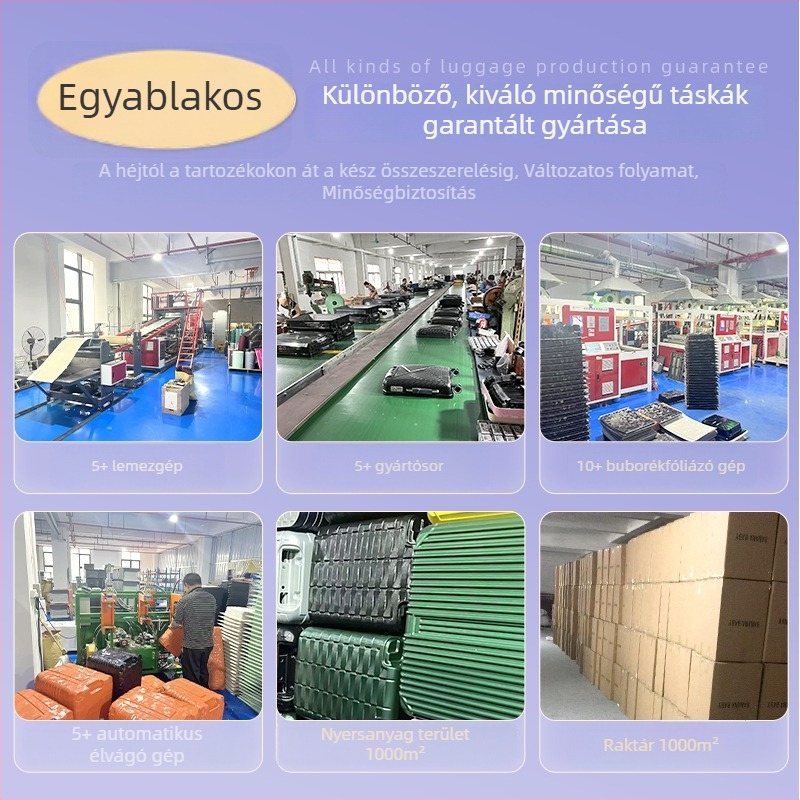 Személyre szabott dupla fogantyús keményfedelű poggyász, ABS, lopás elleni, kódzár, 20/24/28 hüvelyk