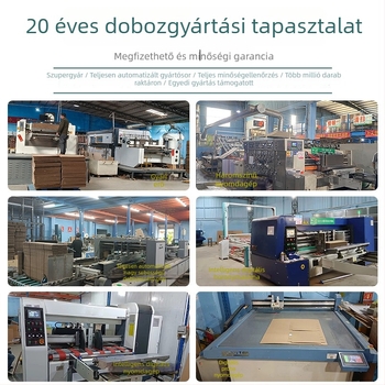Erősített kozmetikai csomagoló doboz cipzárral, anti-tamper funkcióval, luxus expressz doboz, ragasztómentes, testreszabott repülőgép-stílusú doboz