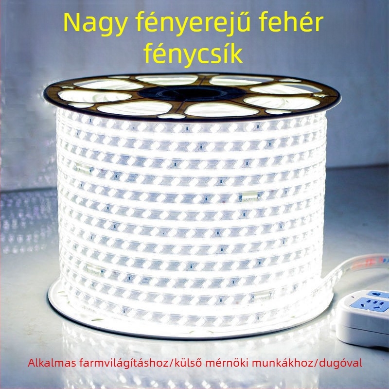 Kültéri vízálló LED-szalag – ultra‑fényes fehér fény, külső fal és alagút világítása, 220V