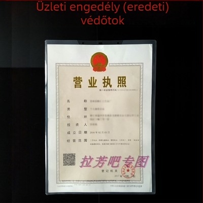 Üzleti engedély védőtaska, falra szerelhető, átlátszó kemény műanyag, A3 méretű