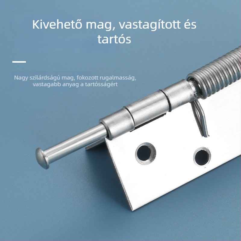 Rozsdamentes acél rugós zsanér automatikus visszatérő funkcióval – kompakt mini zsanér szekrényajtókhoz