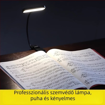 DBAO Újratölthető hordozható zenei állványlámpa hegedűhöz, gitárhoz és zongorához szemvédővel