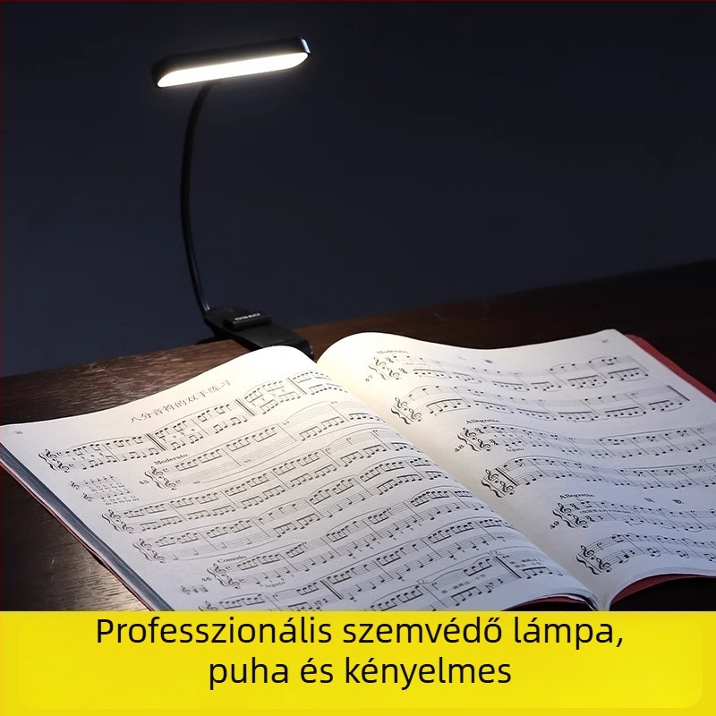 DBAO Újratölthető hordozható zenei állványlámpa hegedűhöz, gitárhoz és zongorához szemvédővel