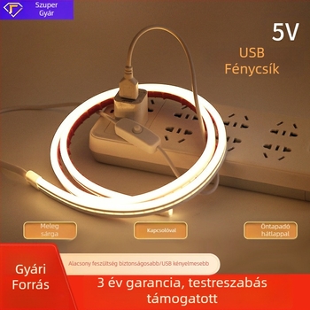 Személyre szabott LED világító szalag otthonra, 5V USB, rugalmas szilikon neonhatású