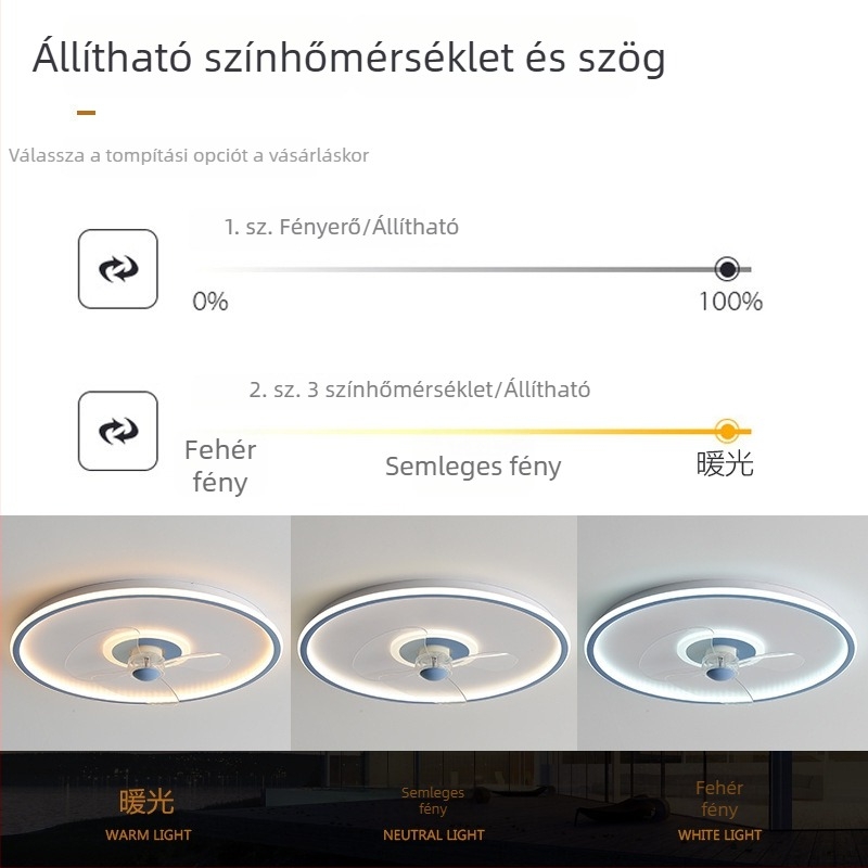 Kerek mennyezeti ventilátoros lámpa, modern minimalist stílusú étteremhez, intelligens változtatható sebességű távirányító