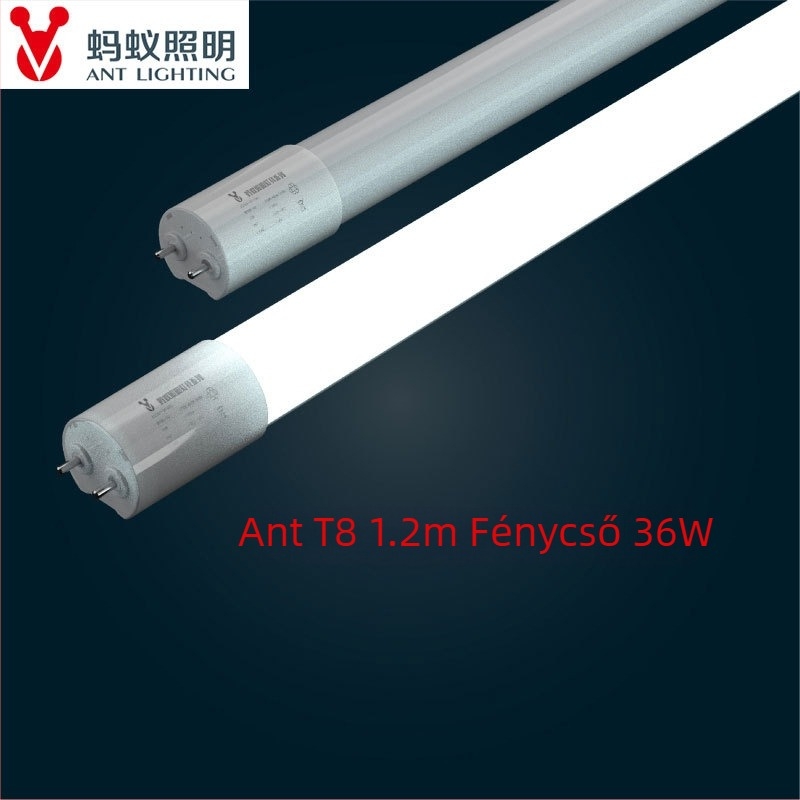 Ant Lighting LED T8 cső – vibrálásmentes, szemvédő, energiatakarékos, 1,2 m, 36 W, integrált