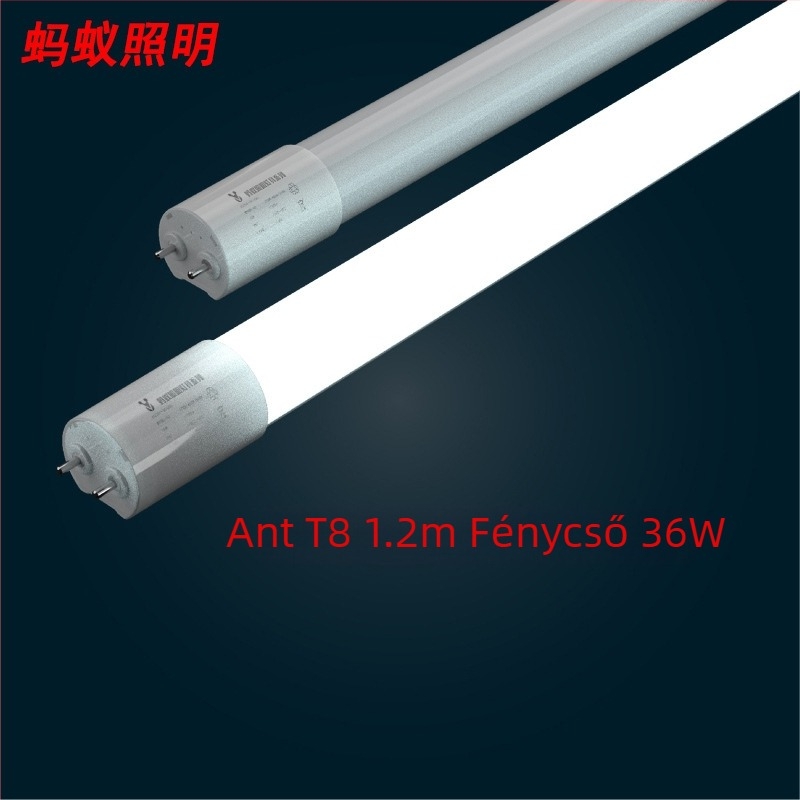 Ant Lighting LED T8 cső – vibrálásmentes, szemvédő, energiatakarékos, 1,2 m, 36 W, integrált