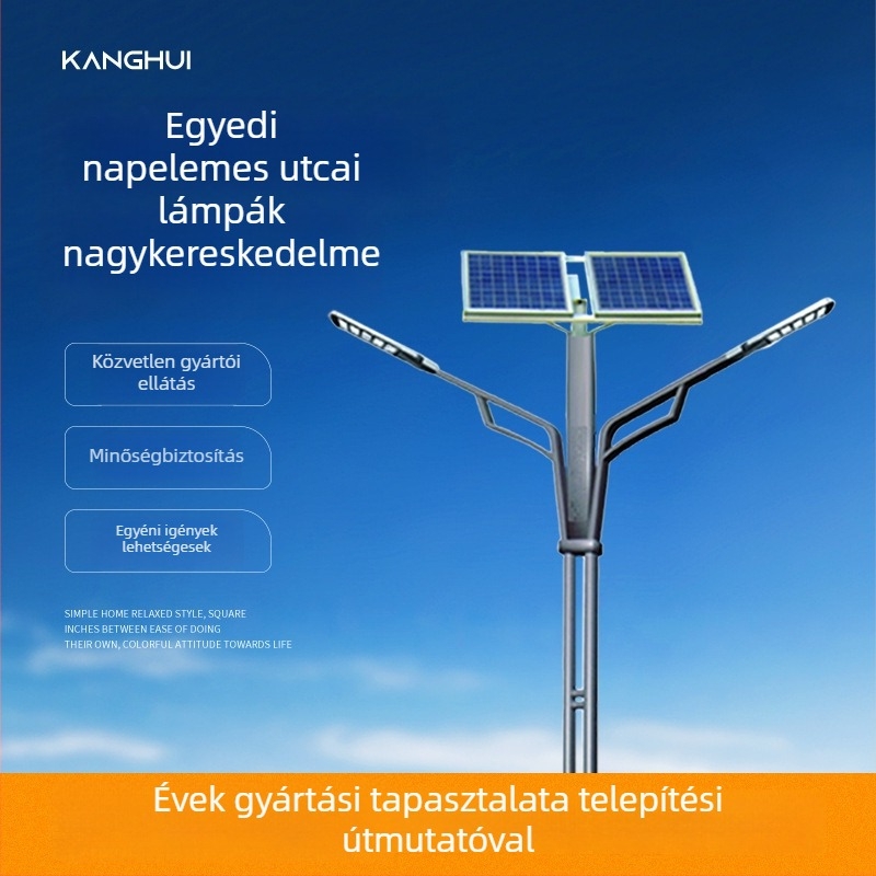 Napelemes utcai lámpa, energiatakarékos LED, egykaros vagy kétkaros kivitel, napelemes panel, kültéri fényvezérlés, új vidéki utak és terek számára