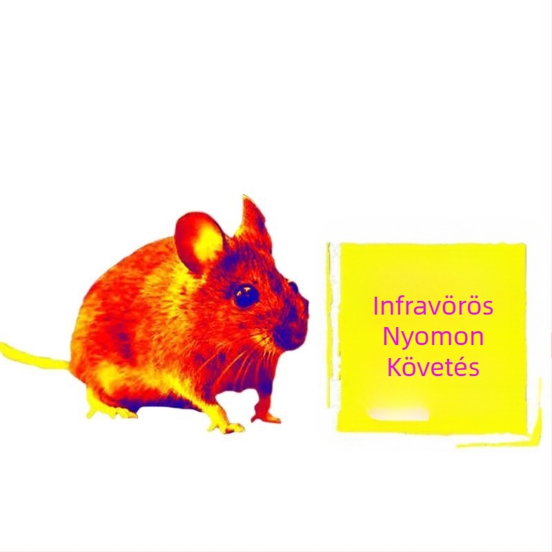 HD infravörös éjjellátó készülék madármegfigyeléshez, okostelefon-kompatibilis termikus imager, kültéri felszerelés