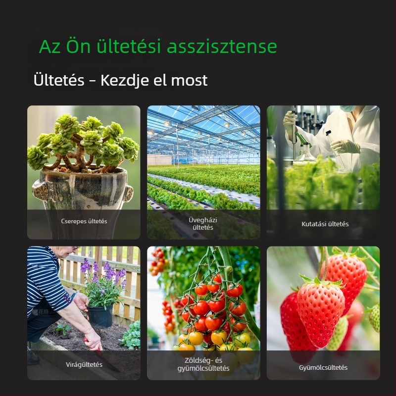 Négy az egyben talajteszter: fény, hőmérséklet, nedvesség és pH