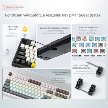 RGB K98 mechanikus billentyűzet hot-swap lehetőséggel, ko-brand készlet egérrel, három üzemmóddal