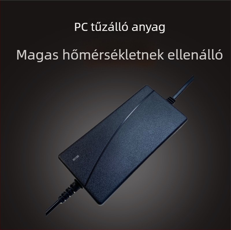 Philips AOC LCD-monitor tápadapter 19V1.31A, 12V3A töltő, 19V2.1A
