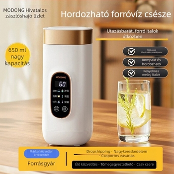 Hordozható mini elektromos vízmelegítő kanna kollégiumba és utazásokhoz, rozsdamentes acélból, hőmérséklet-szabályozással