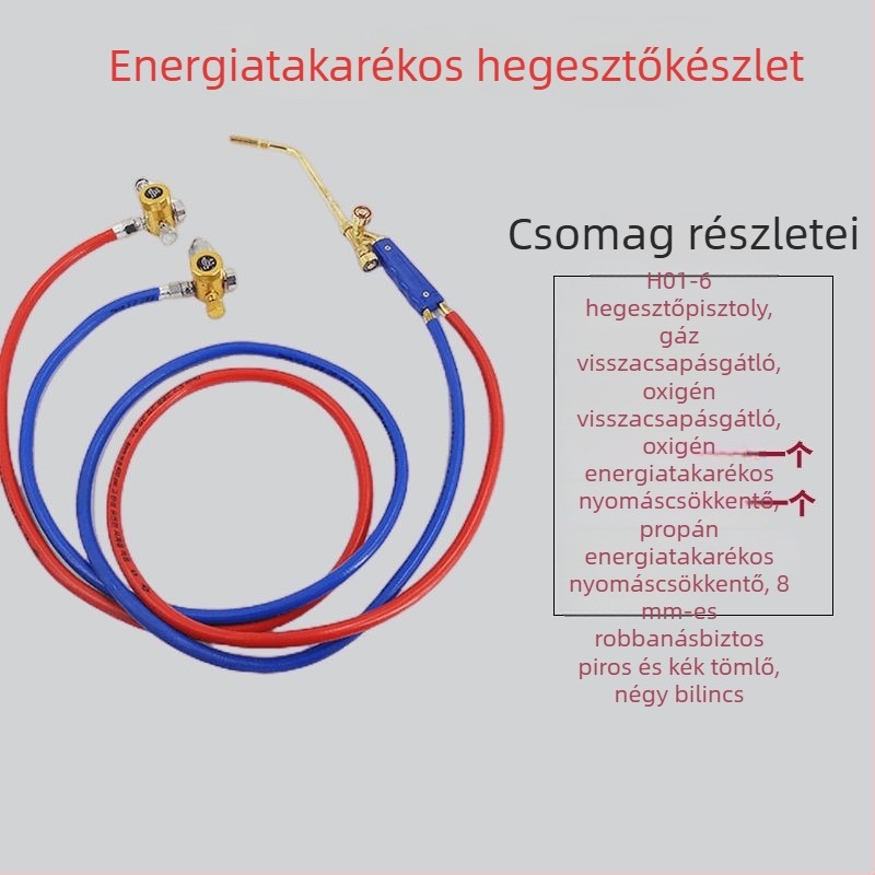 H01-6 Gázos hegesztőpisztoly és 2 az 1-ben hegesztőgép oxigén- és acetilén-kiegészítőkkel