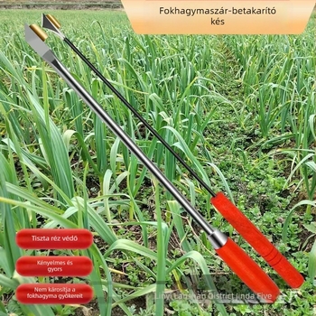 Fokhagyma csíra kés mahagóni fogantyúval és acél rúddal