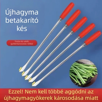 Fokhagyma csíra kés mahagóni fogantyúval és acél rúddal