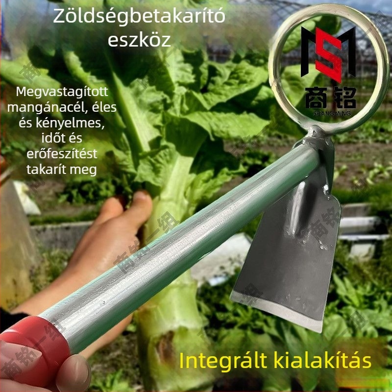 Kétfunkciós, háztartási használatra szánt zöldséglevél eltávolító és gyökérásó eszköz hosszú nyéllel