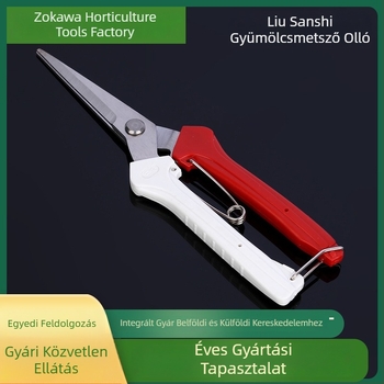 Rozsdamentes acél gyümölcskivágó olló kerthez, gyümölcs szedéséhez