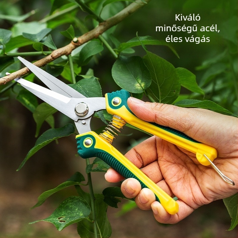 Rozsdamentes acél kerti metszőolló készlet virágokhoz, gyümölcsökhöz és ágakhoz