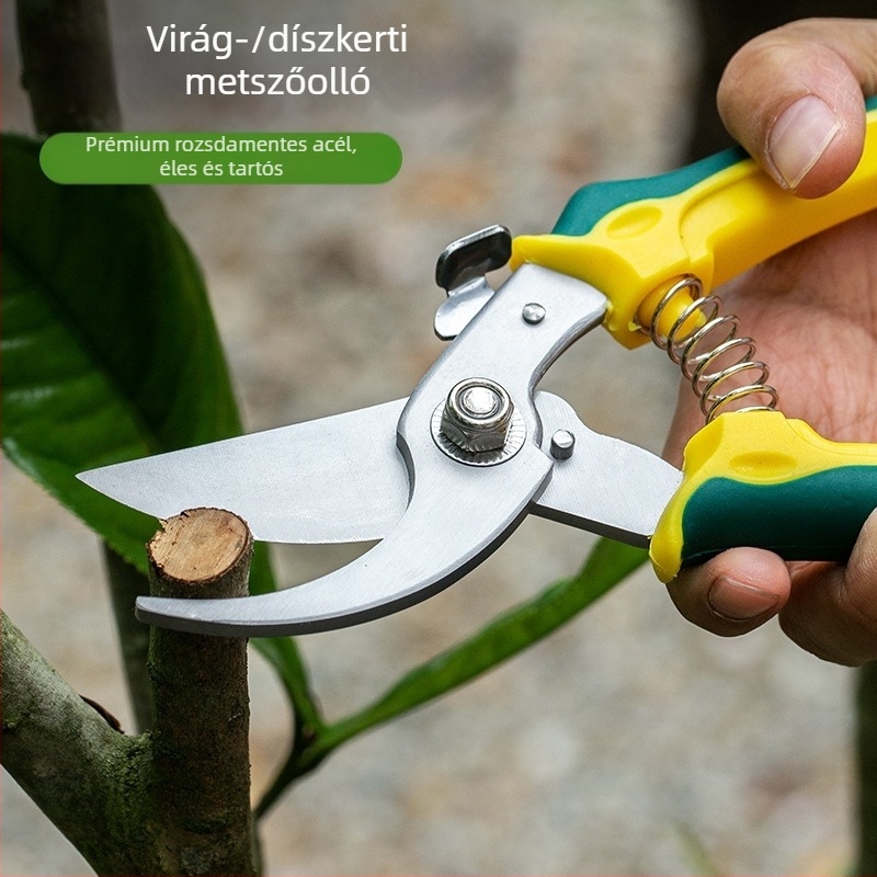 Rozsdamentes acél kerti metszőolló készlet virágokhoz, gyümölcsökhöz és ágakhoz