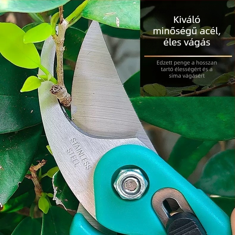 Madárcsőrös metszőolló, oltóolló, rozsdamentes acélból készült görbe metszőolló, kerti metszőollók és virágmetsző ollók