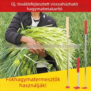 Fokhagyma zöldhajtás gyűjtő- és hámozókés