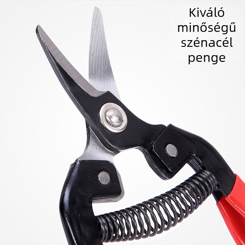 Kis hajlított fejű gyümölcsmetsző olló – gyümölcsfákhoz, ágakhoz és virágokhoz