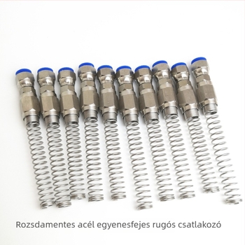 304 rozsdamentes acél spray pisztoly diafragmaszivattyú, festékcső, univerzális menetes csatlakozó és hajlítás elleni rugó