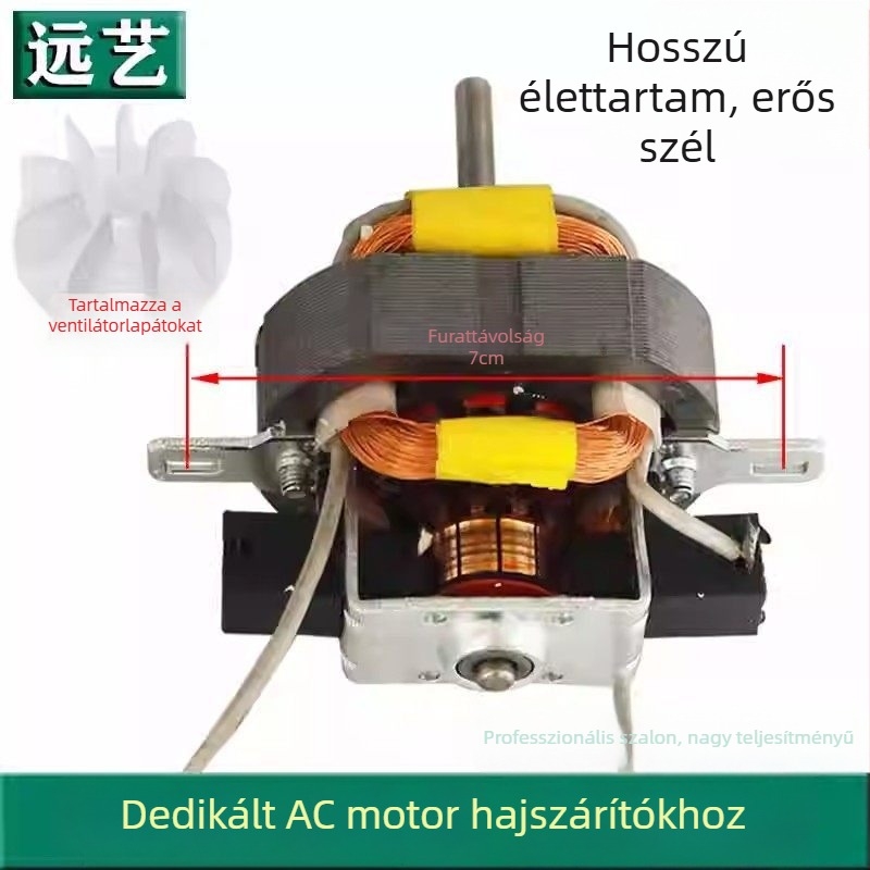 Hajszárító AC motor – nagy teljesítményű szalon motor 13#