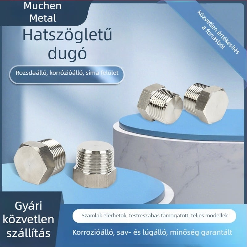 304 rozsdamentes acél külső hatszögletű dugó, tömör dugó ipari használatra