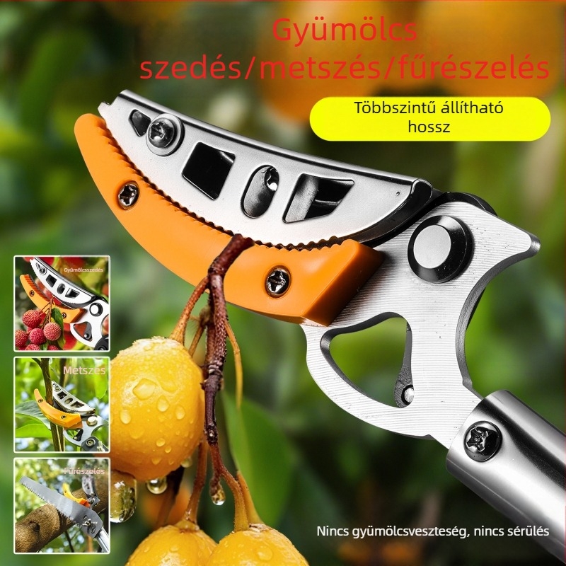 Többfunkciós gyümölcs szedő olló magaslatokra, vastított rozsdamentes acél, extensible metsző- és szedő funkcióval