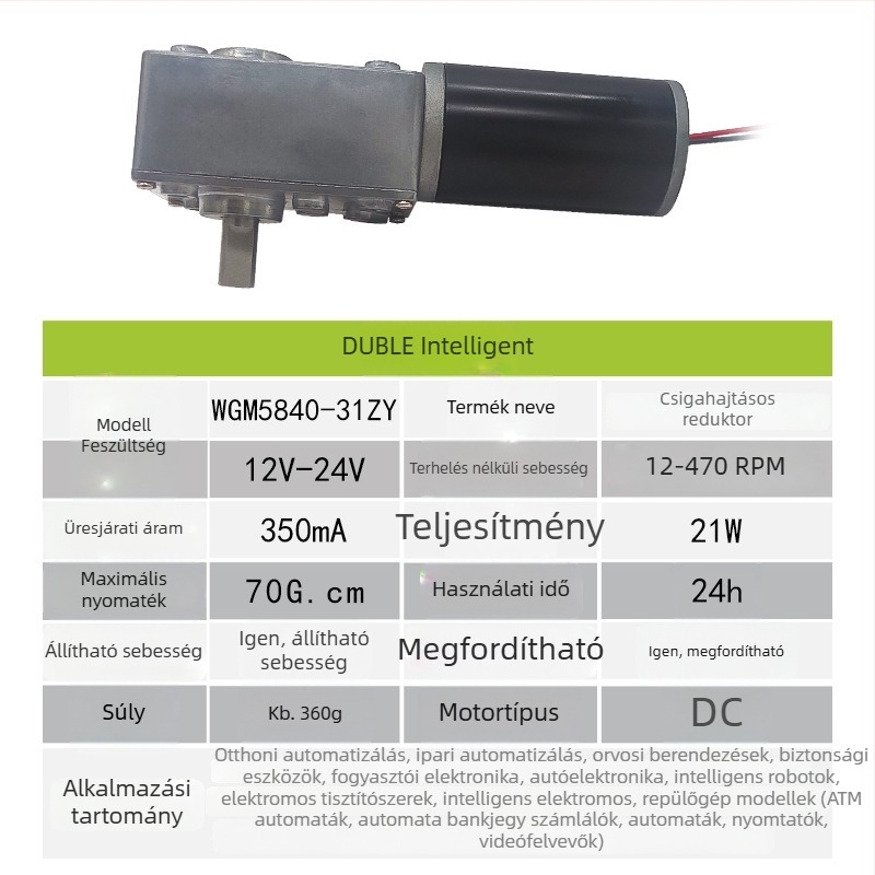 5840-31ZY turbinás csavarorsós DC hajtómotor, 12–24V sebességszabályozó, önzáró fogaskerék, nagy nyomaték, kettős tengely