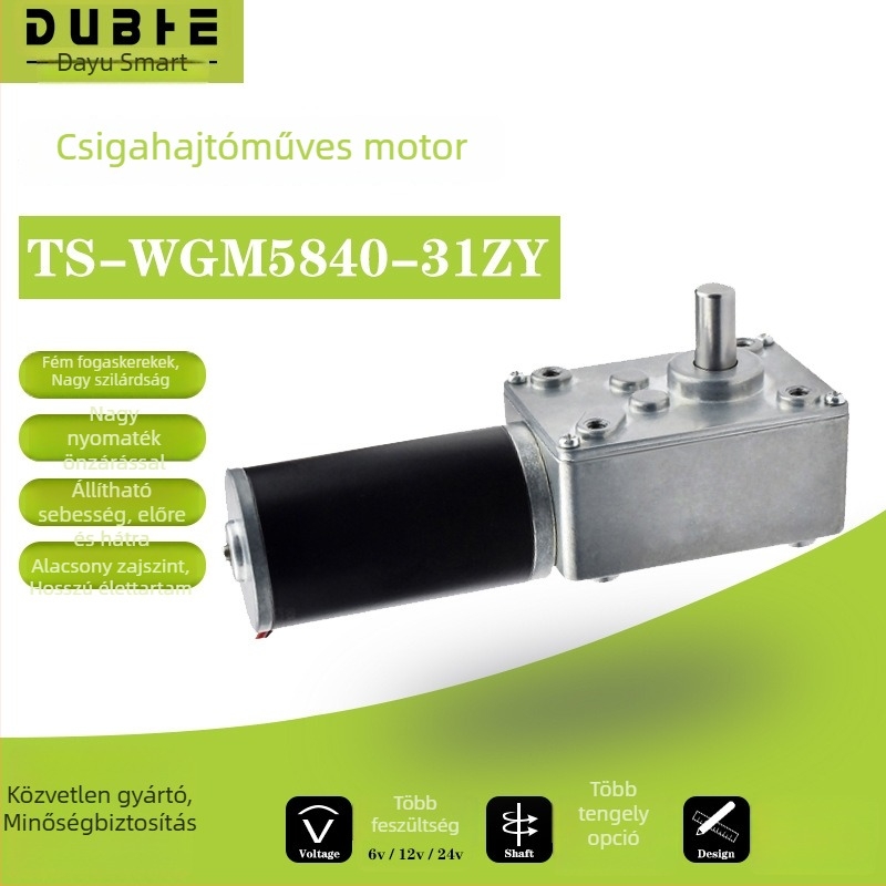 5840-31ZY turbinás csavarorsós DC hajtómotor, 12–24V sebességszabályozó, önzáró fogaskerék, nagy nyomaték, kettős tengely