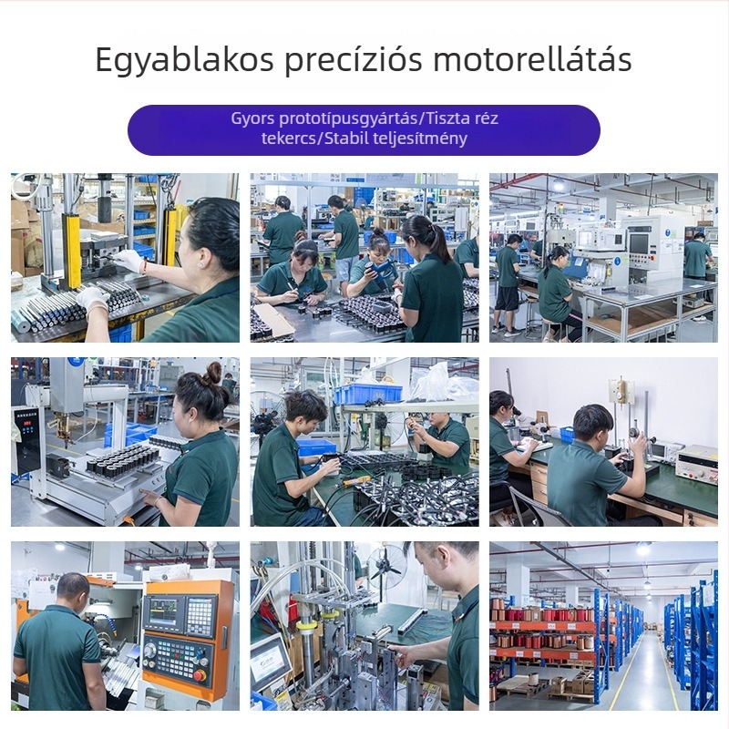 35 lépéses mikro DC brushless precíziós léptető motor készlet automatizált gyártósorhoz és gravíró gépekhez
