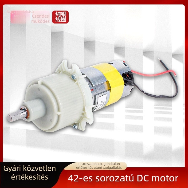 42-es sorozatú brushless DC motor hajtóművel lassú gyümölcspréshez