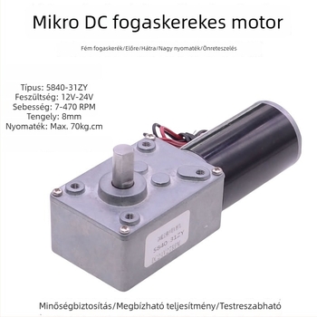 Kisméretű DC motor fogaskerékkel, 12-24V, nagy nyomaték, intelligens ruhaszárító-függöny rendszerhez, önzáró csigakerék