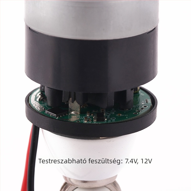 45‑ös mikromotor brushless DC motor porszívókhoz és elektromos szerszámokhoz, nagy nyomatékkal és levegőpumpával