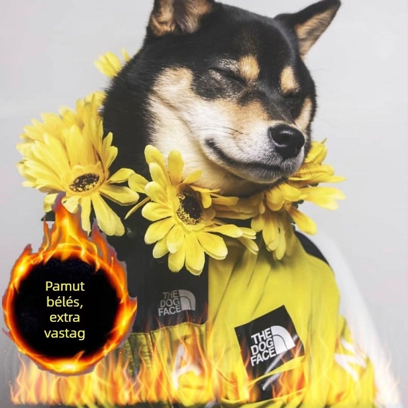 PAWDREAM kutyafelső esőkabát amerikai zászló mintával, szél- és esőálló, bélelt, nagytestű kutyáknak