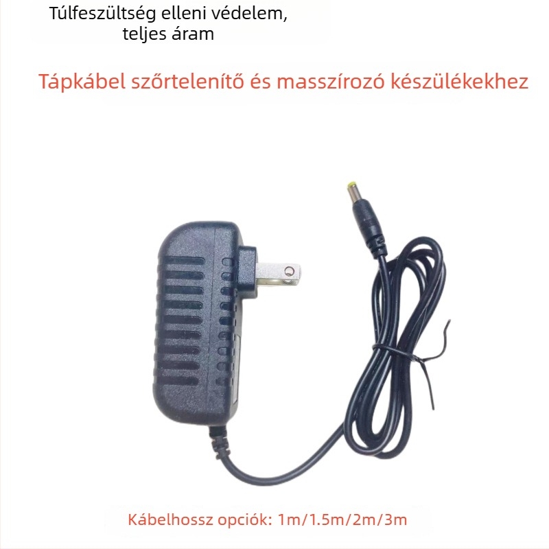 Szőrtelenítő és szépségápolási készülék masszázspárnával, tápegység 12V2A 3A1A, nyaki masszírozó, tápegység-adapter és töltőkábel