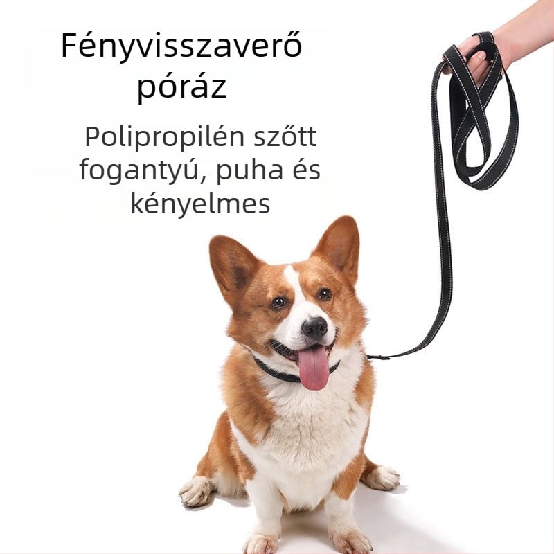 Nylon kutya hám és póráz