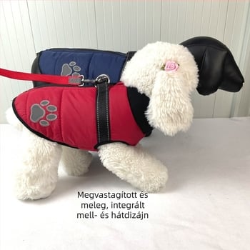 Személyre szabott kisállat ruházat: esőkabátok kutyáknak és macskáknak, ünnepi mókás kosztümök