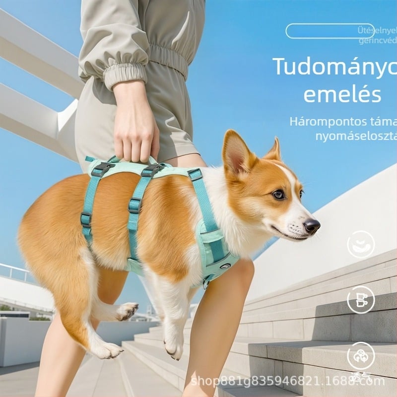 Mellény-stílusú kutyahám mellkas- és hátsó pántokkal – nagy és közepes testű kutyáknak – nyár