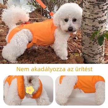 PuhA segítő öv idős kutyáknak és kisméretű–közepes kutyáknak, kényelmes sétákhoz