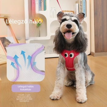 Kis méretű kutyáknak mellény-stílusú hám pórázzal