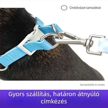 PVC vízálló kutya hám, nyári csíkos mintával, kis- és közepes méretű kutyáknak, menekülés elleni